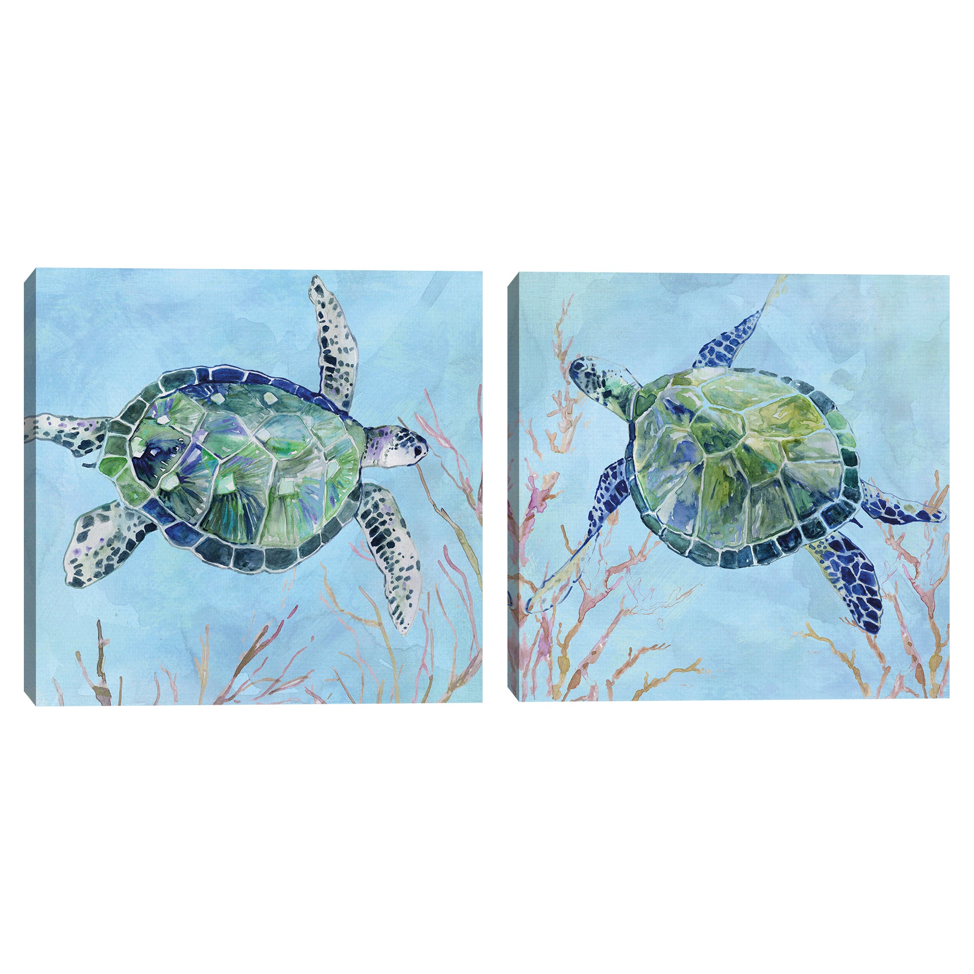Sea Turtle I & II