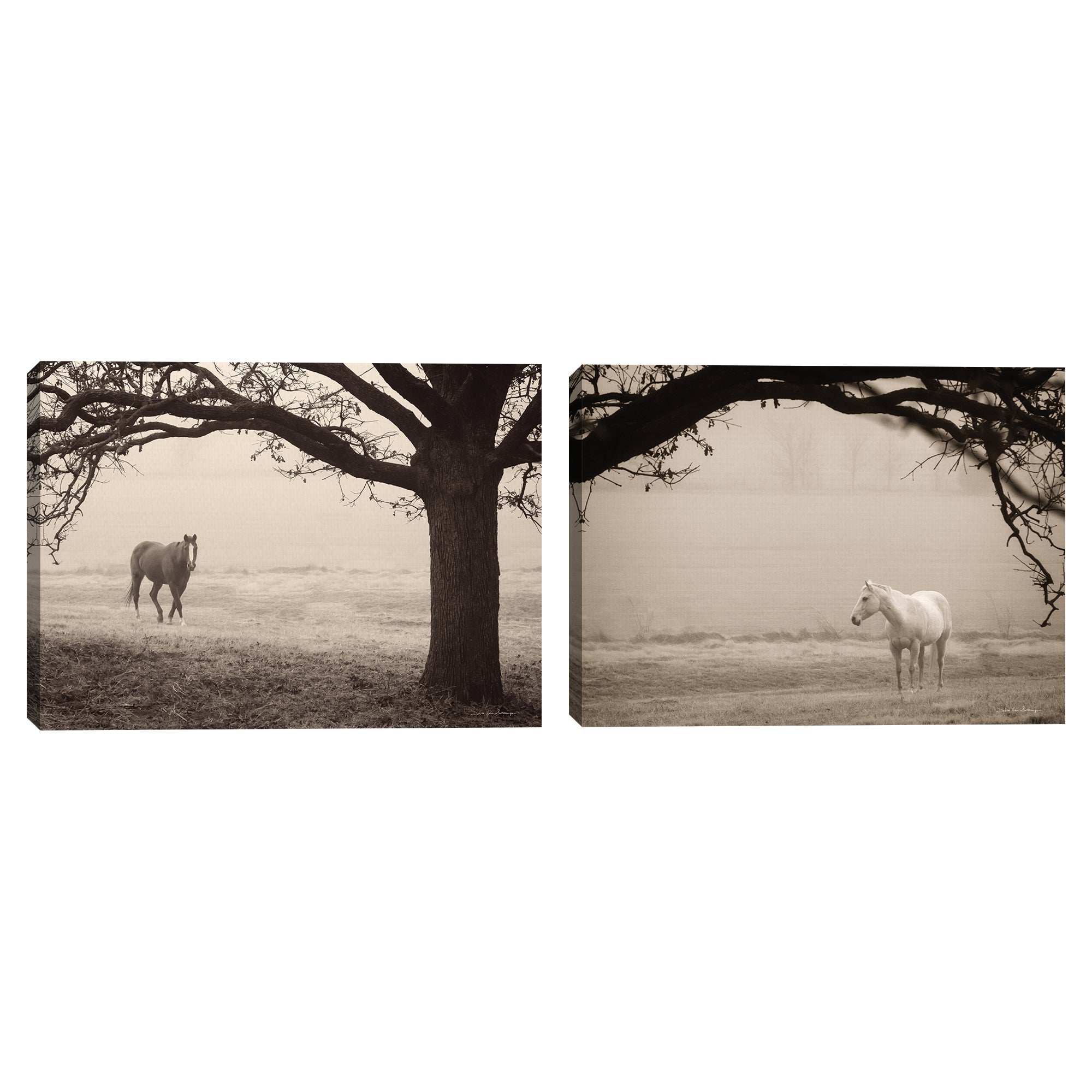 Hazy Horse I & II