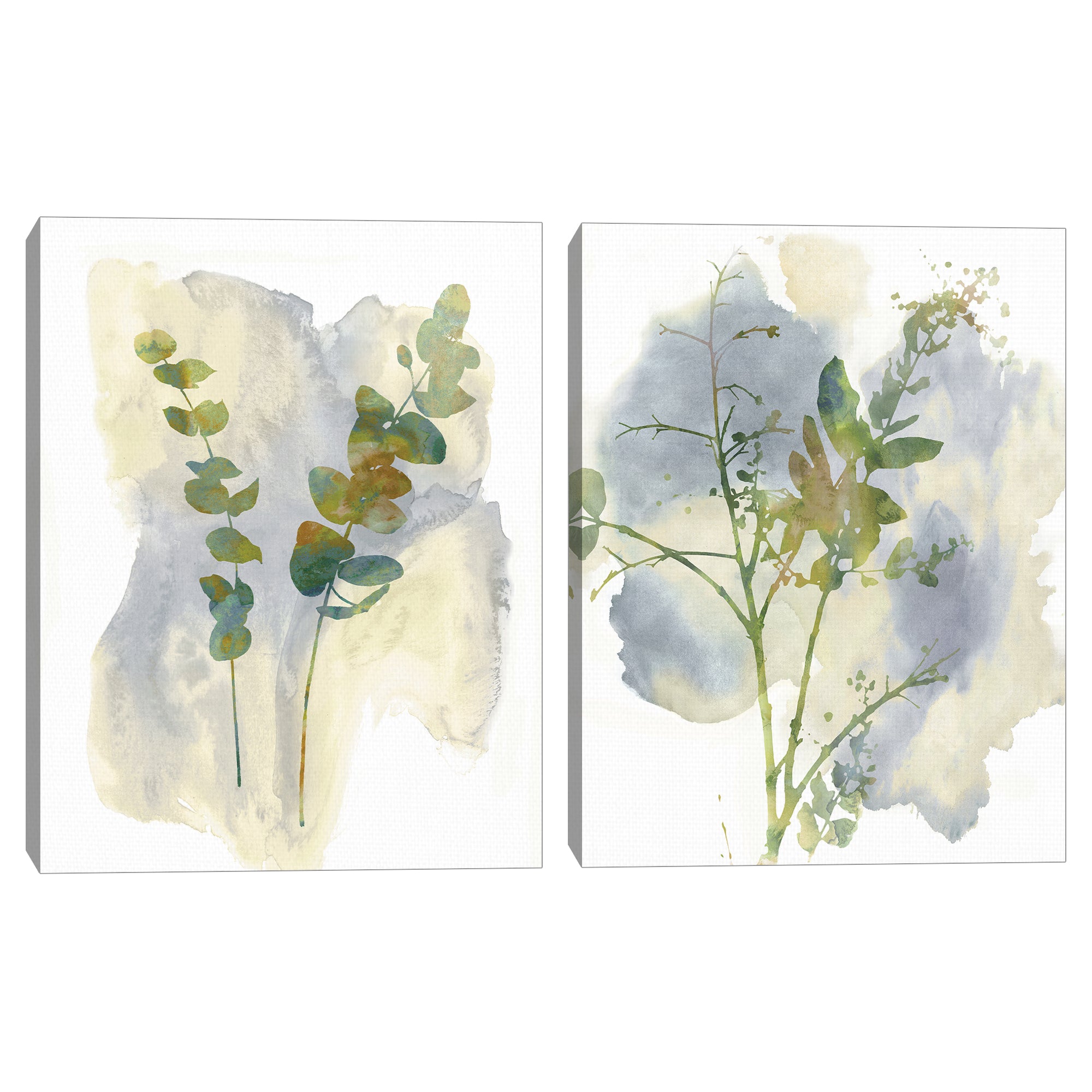 Wildflower Duet & Harmony