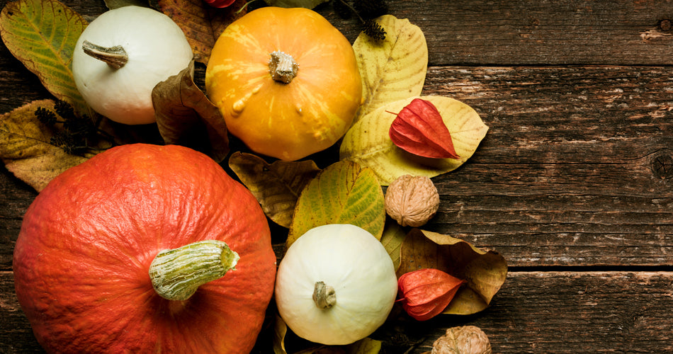 Canvas Prints We’re Thankful For This Thanksgiving!