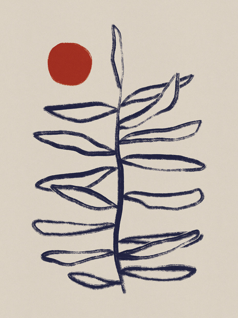 Japandi