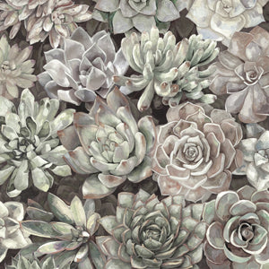 Dixon Design Group