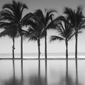 Moises Levy