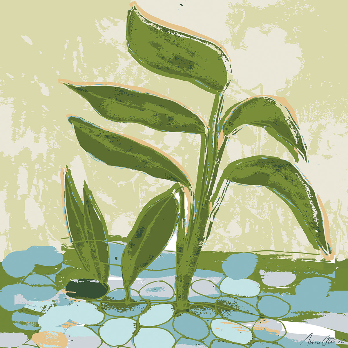 Growing Plants