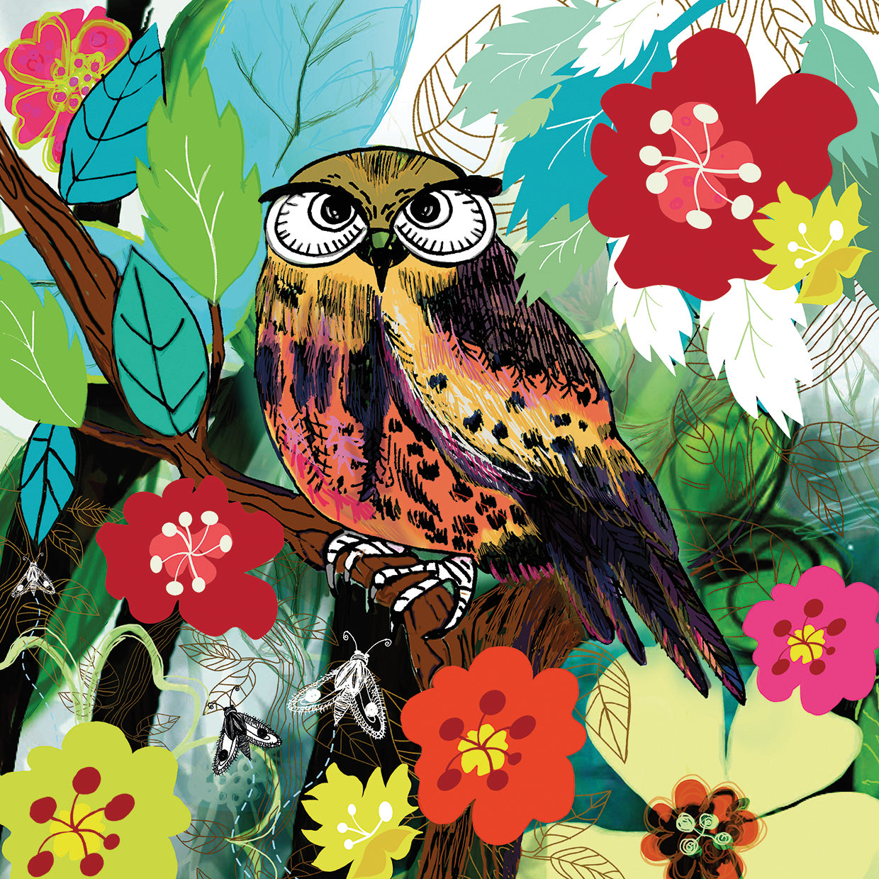 Hibou