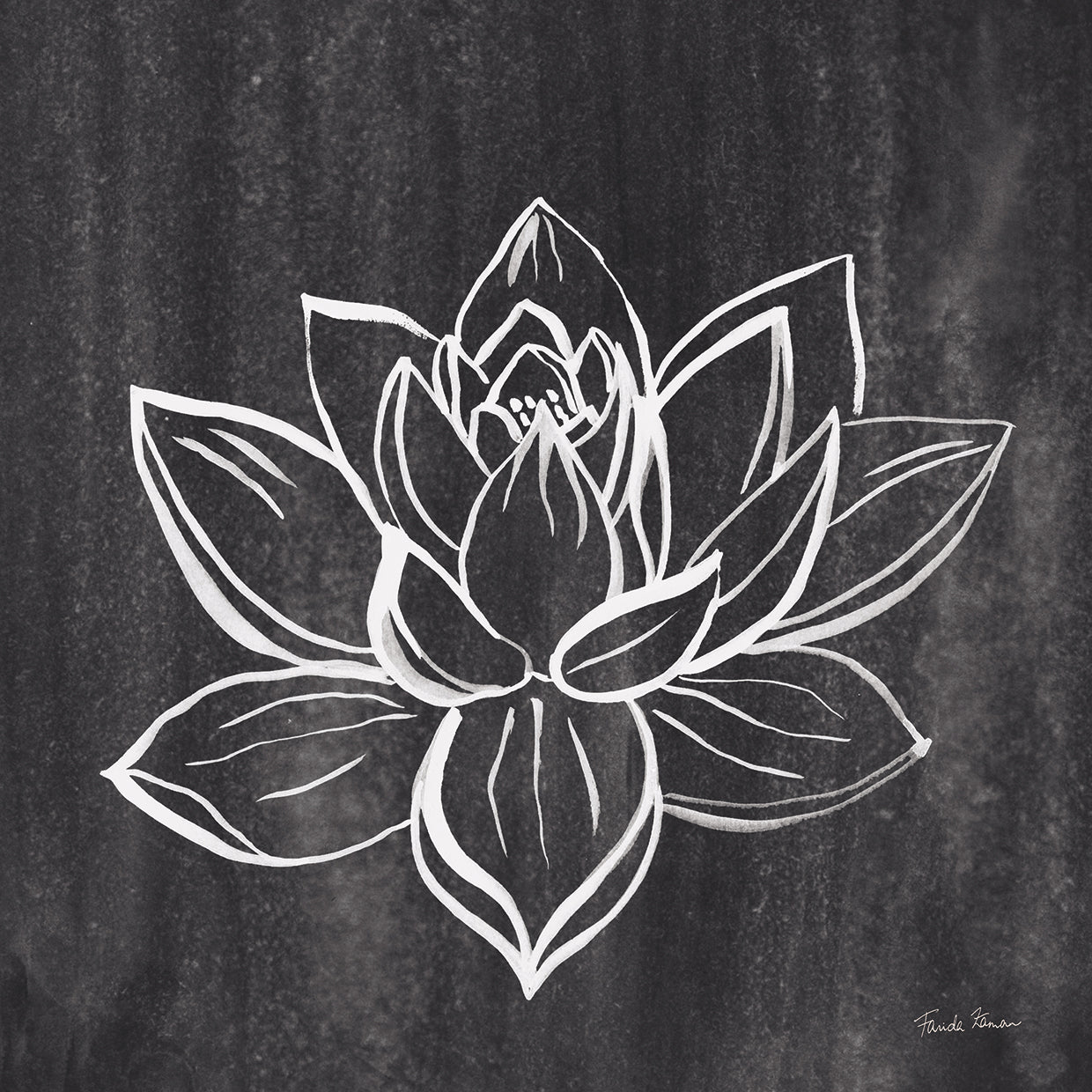 Lotus Gray