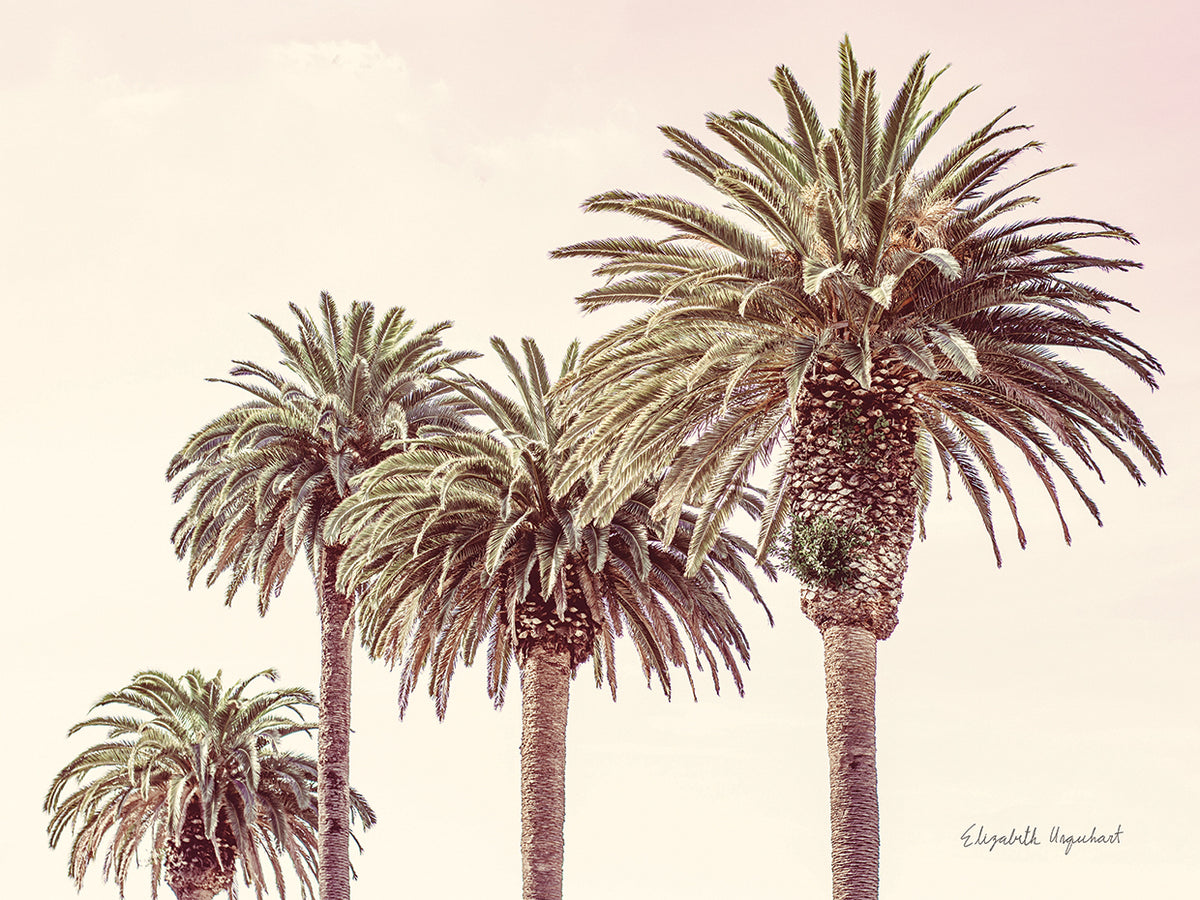Pastel Palms