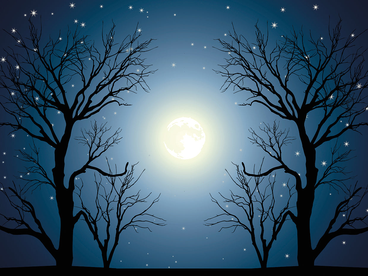Moondance Forest