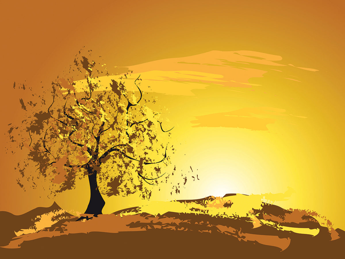 Golden Meadow Sunset