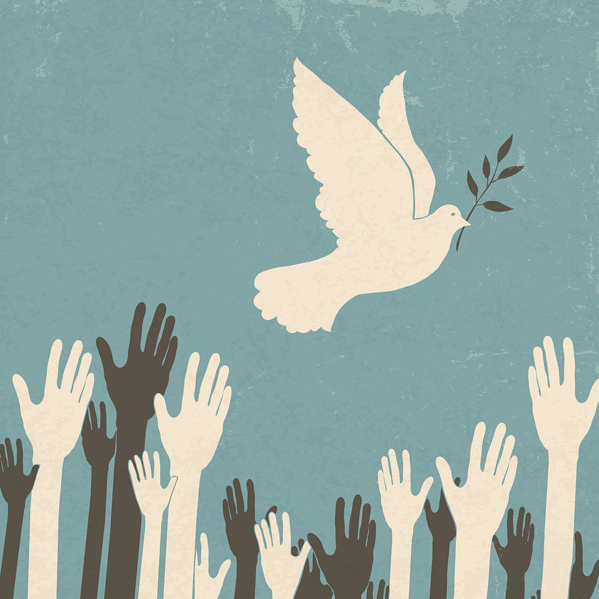 Olive Branch Dove
