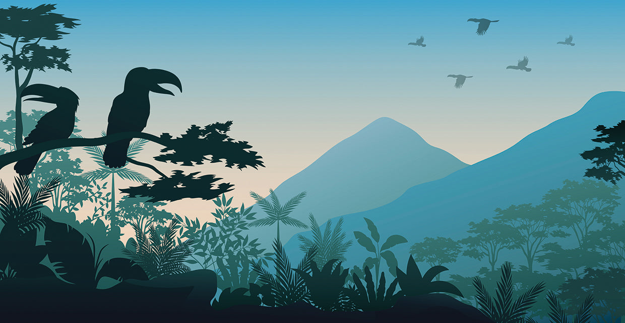 Toucan Tropical Mountains