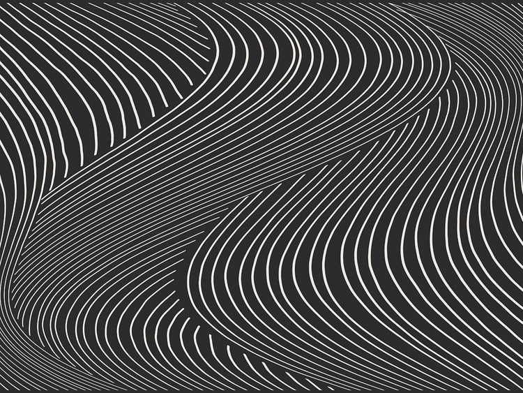 Ondas de línea de terciopelo negro Lienzos