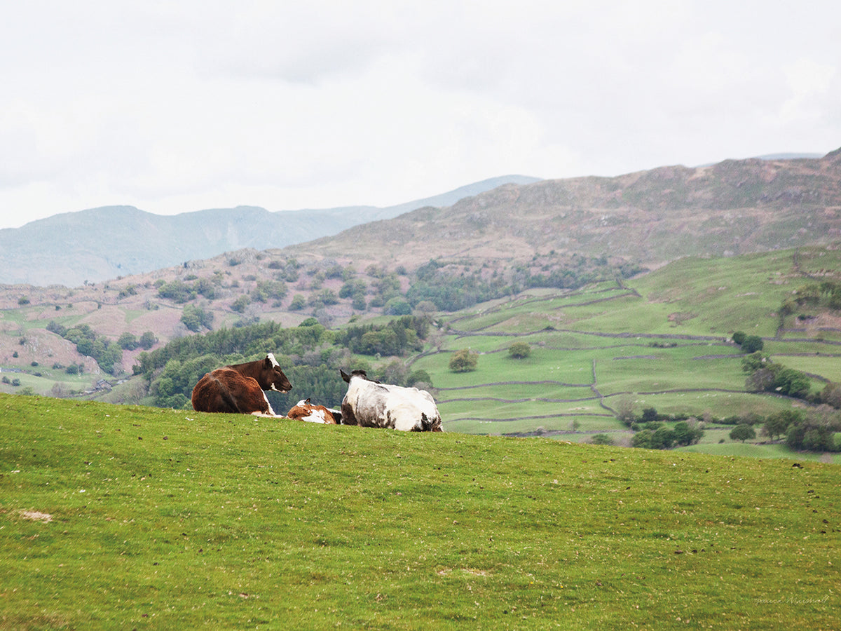 Lake District III
