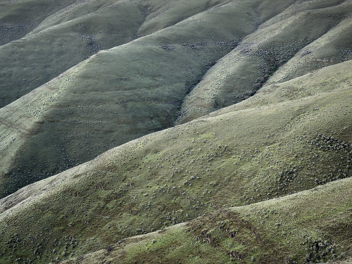 Columbia Plateau Oregon