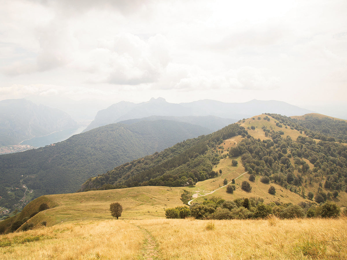 Grassy Hills and Mountains