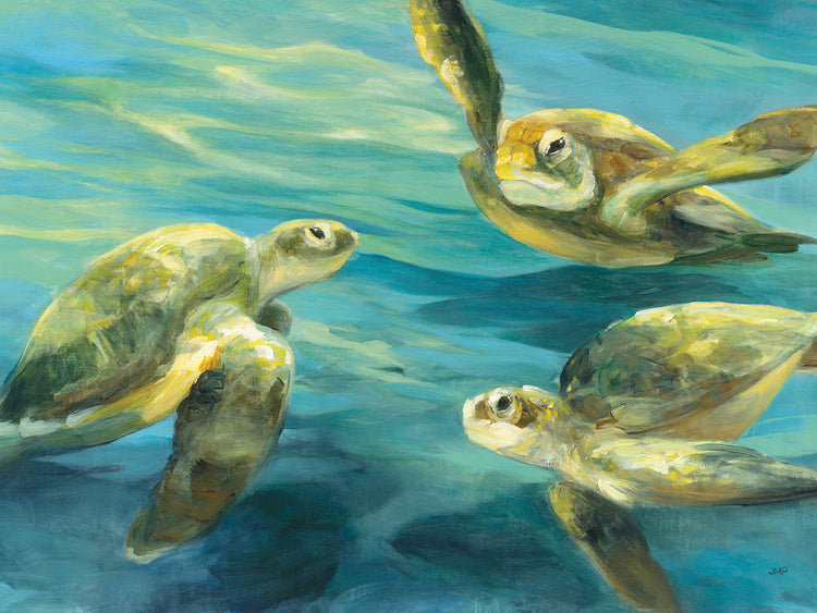 Cuadros en lienzo de tortugas marinas