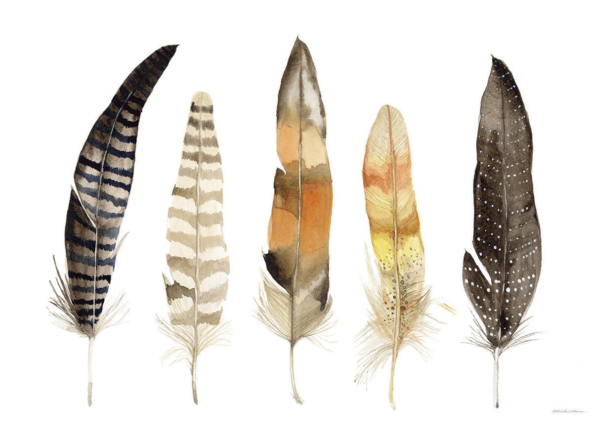 Natural Feathers