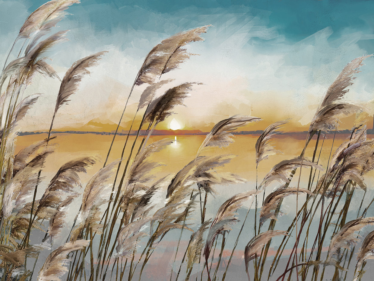 Morning Reeds Light