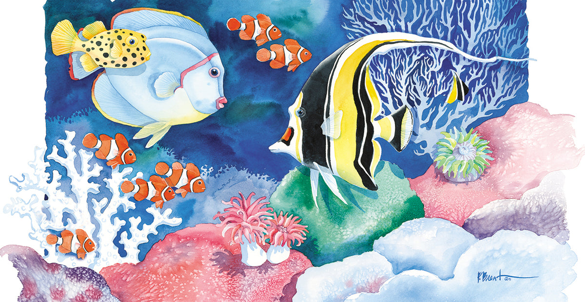 Coral Seas 1