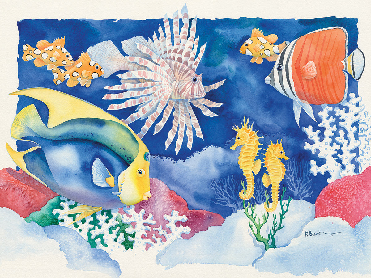 Coral Seas 2