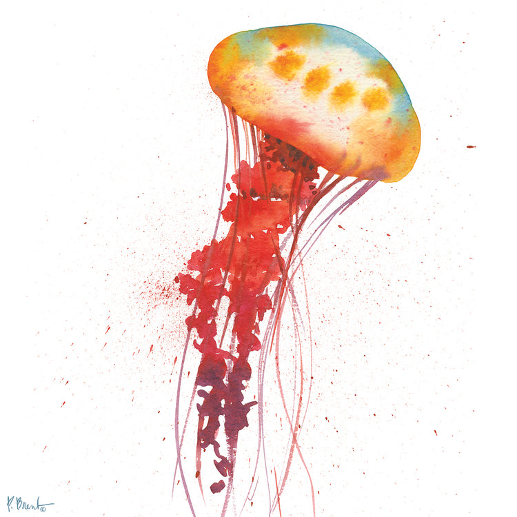 Deep Sea Jellies IIs