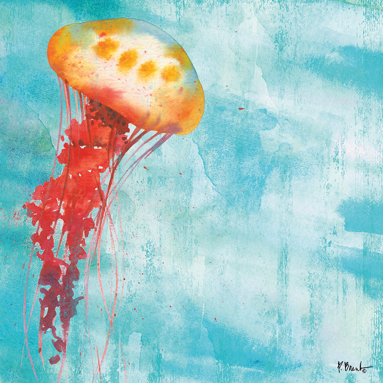Arianna Jellyfish II