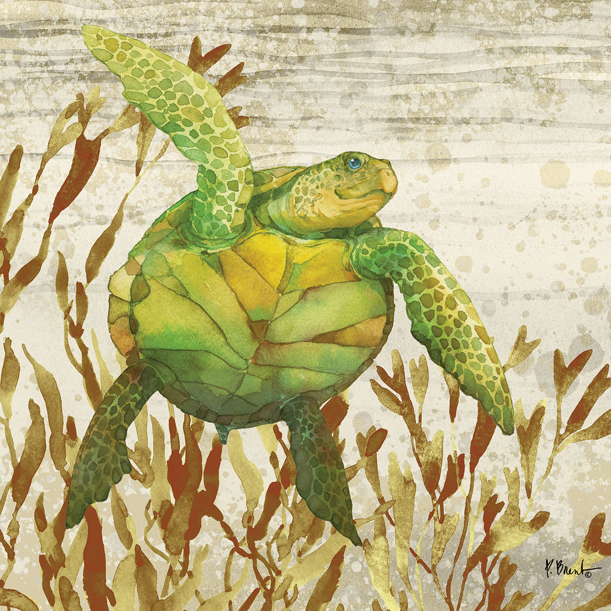 Calypso Turtles I