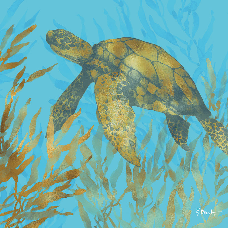 Cedar Key Turtle IIs