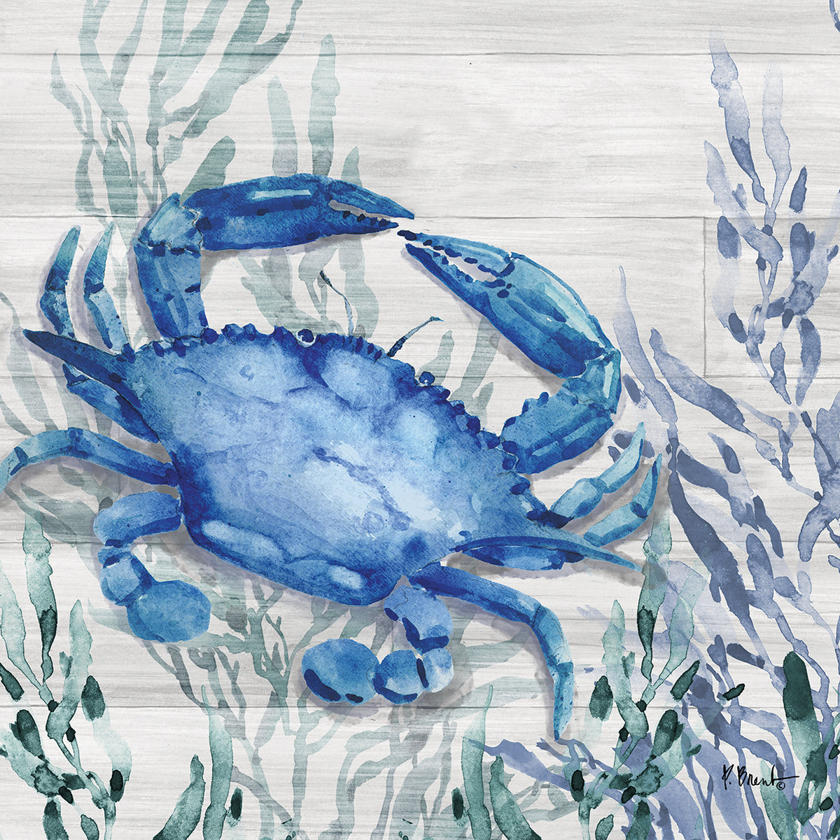 Navarre Sealife I – Driftwood