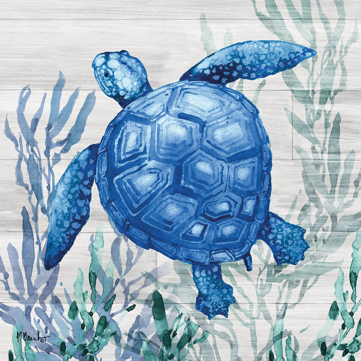 Navarre Sealife II - Driftwoods