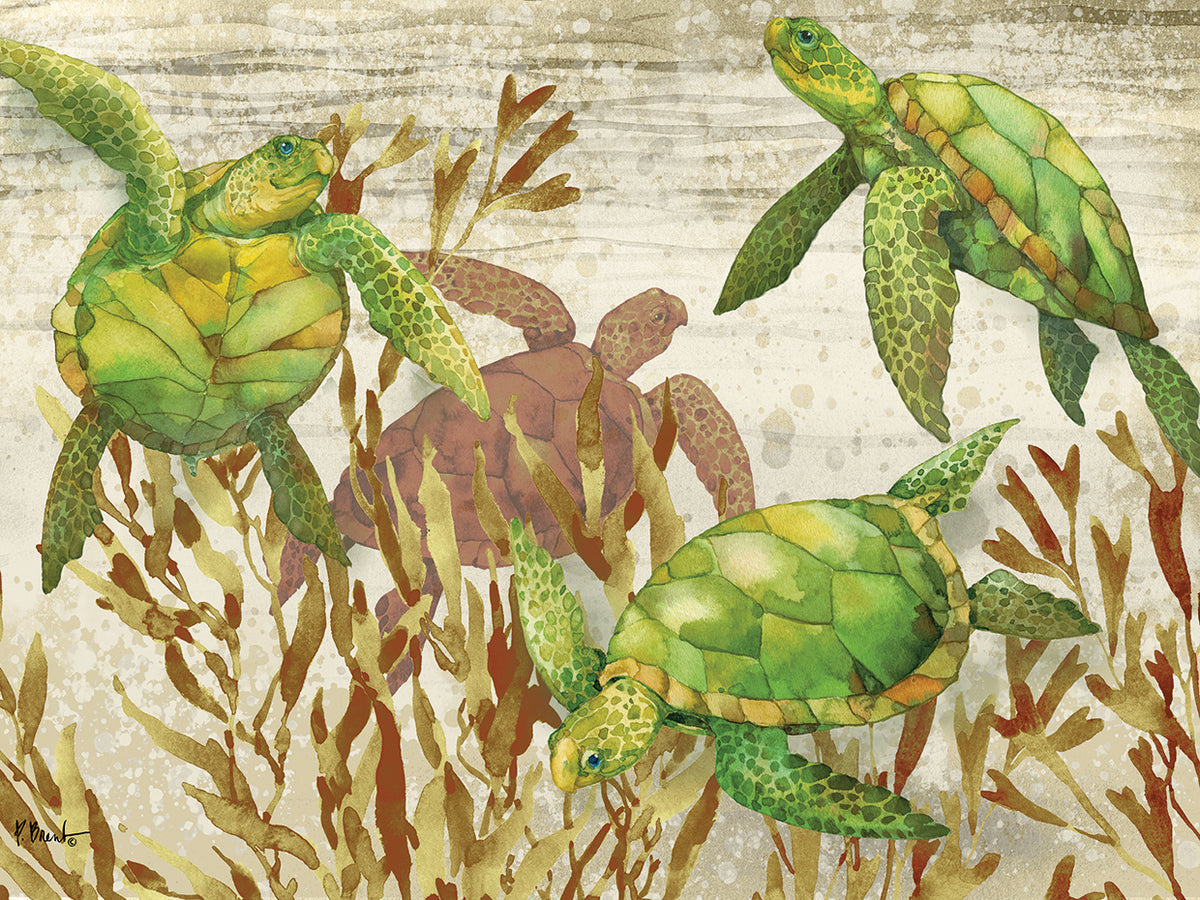 Calypso Turtles Horizontal