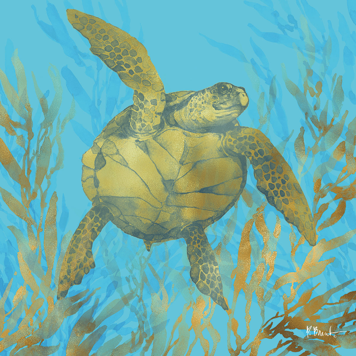 Cedar Key Turtle I