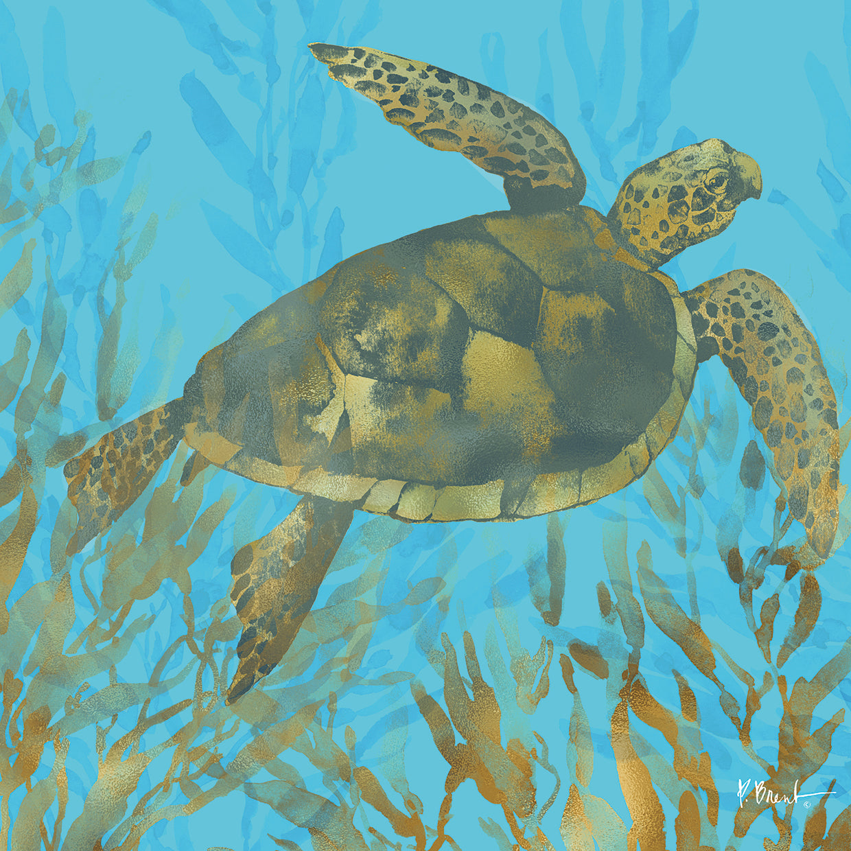 Cedar Key Turtle III