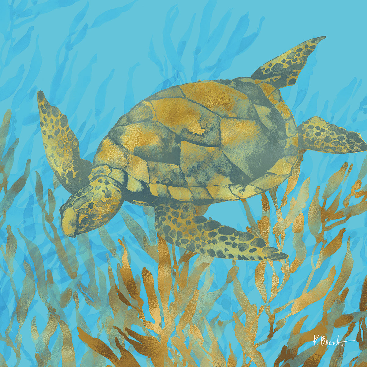Cedar Key Turtle IV