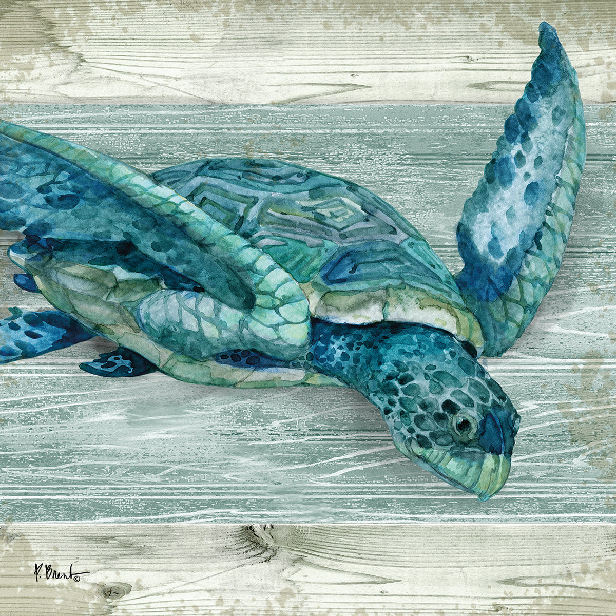 Northpoint Sealife III