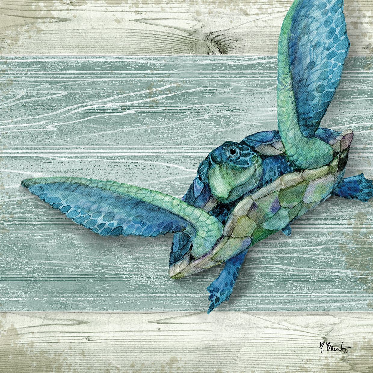 Northpoint Sealife IVs