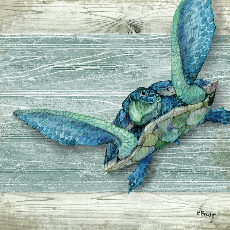 Northpoint Sealife IVs