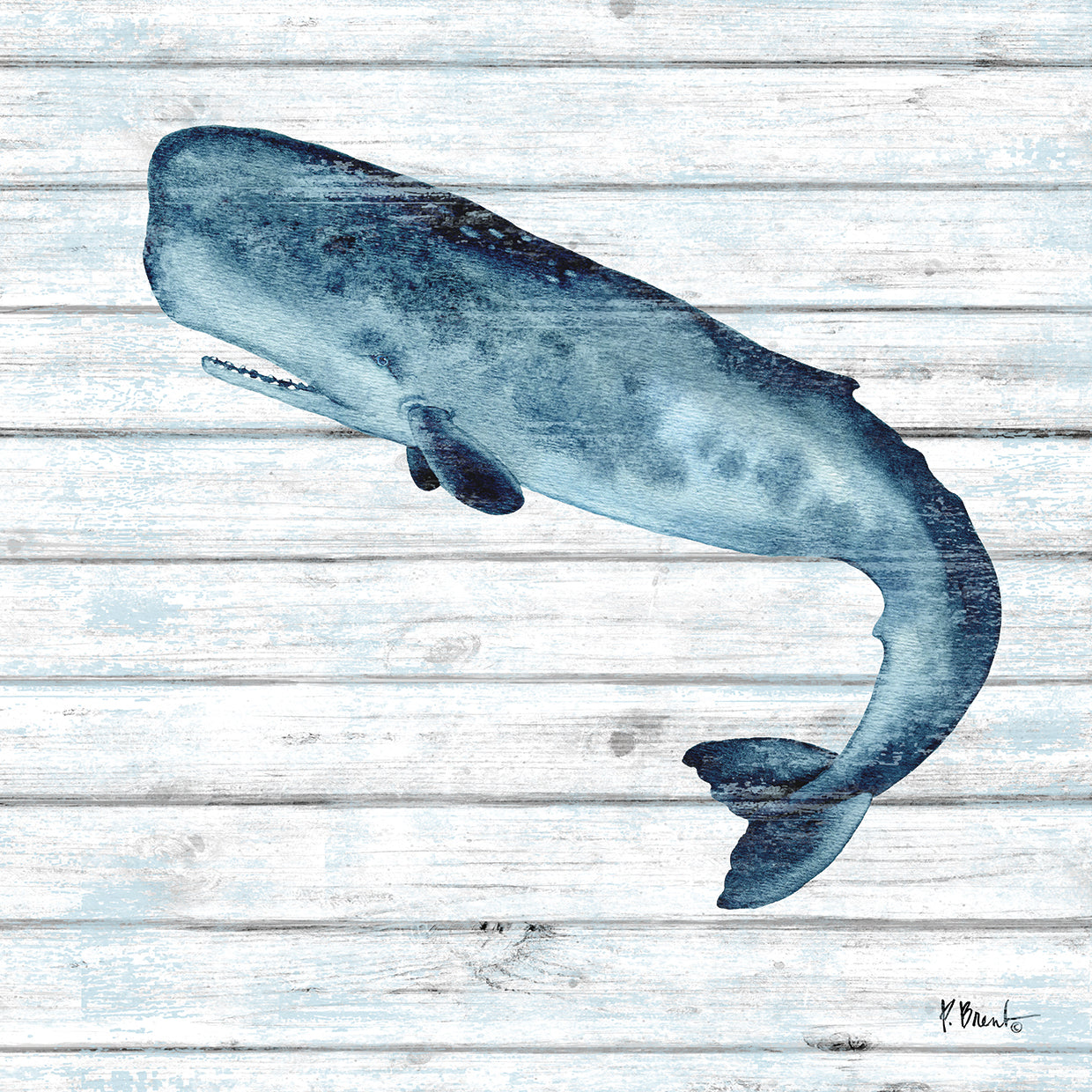 Bristol Whale II