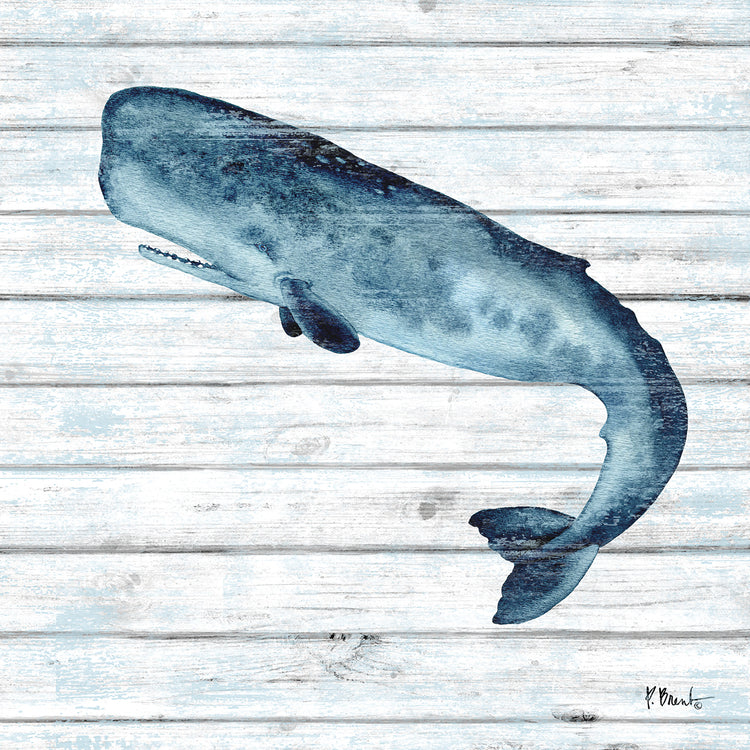 Lienzos Ballena de Bristol II