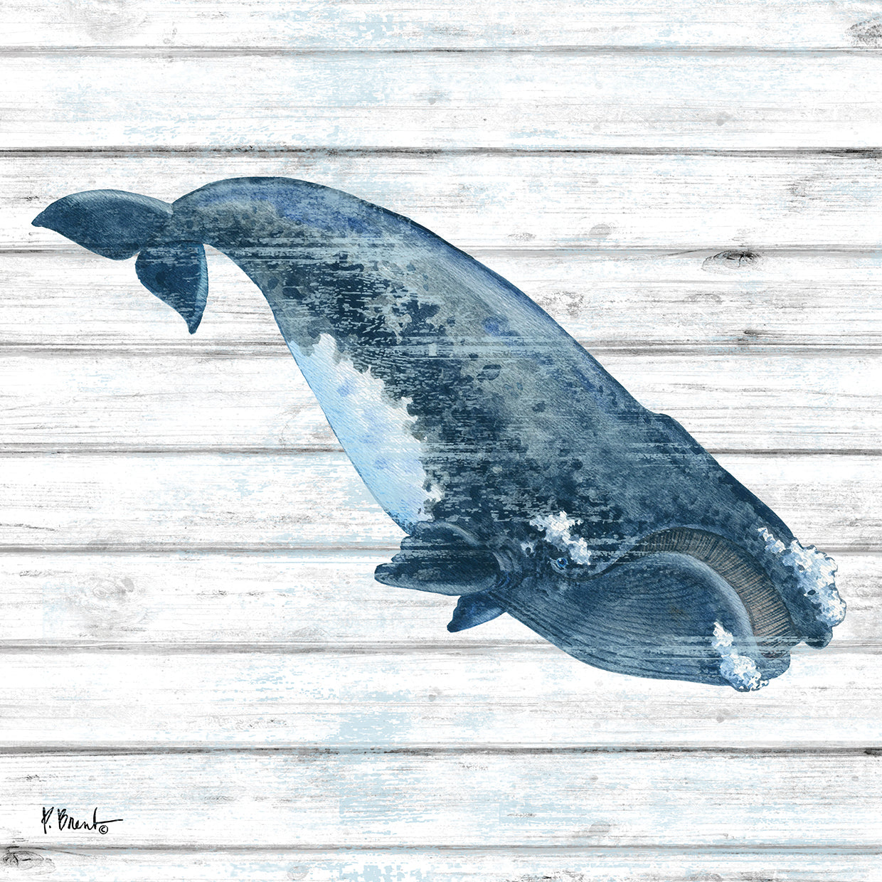 Bristol Whale III
