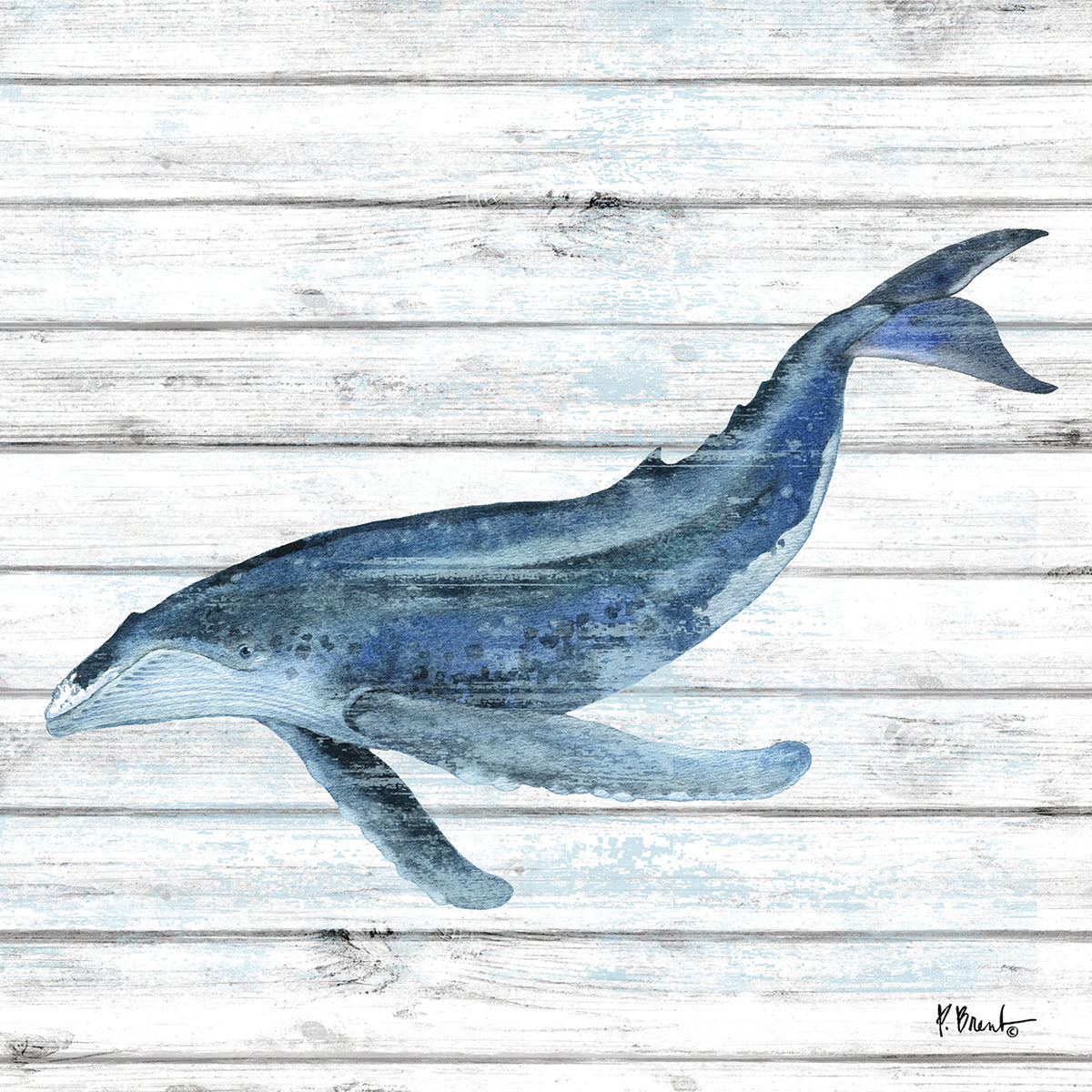 Bristol Whale IV