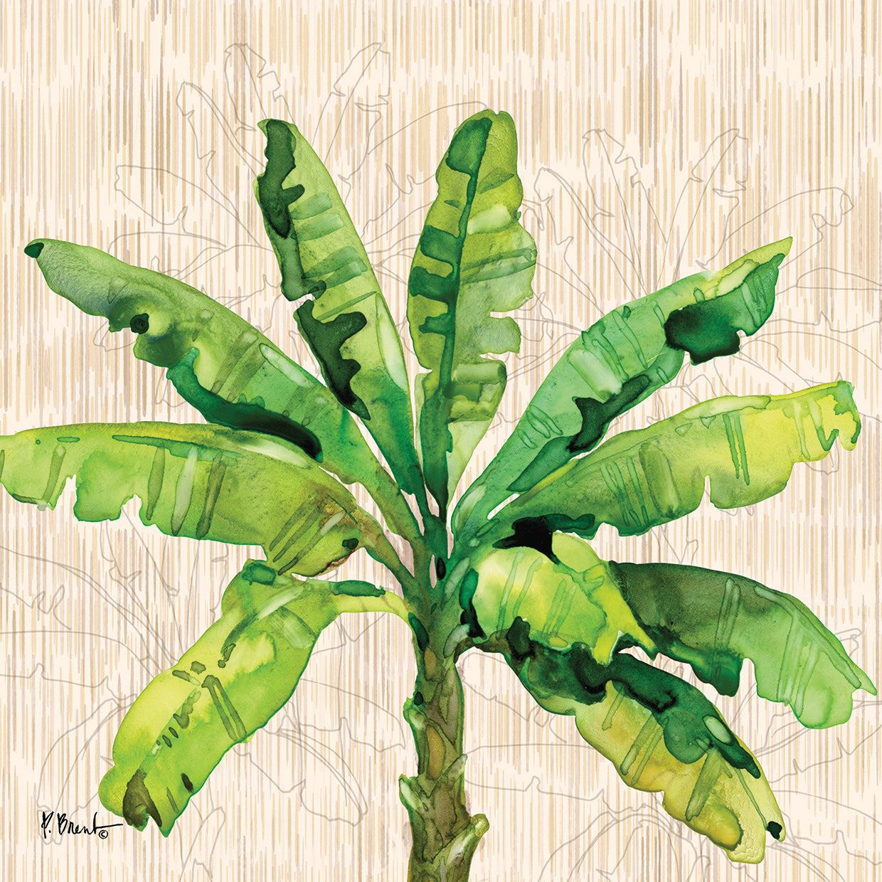 Hilo Palms II