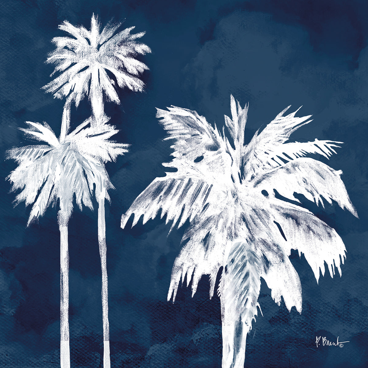 Cyano Palms II