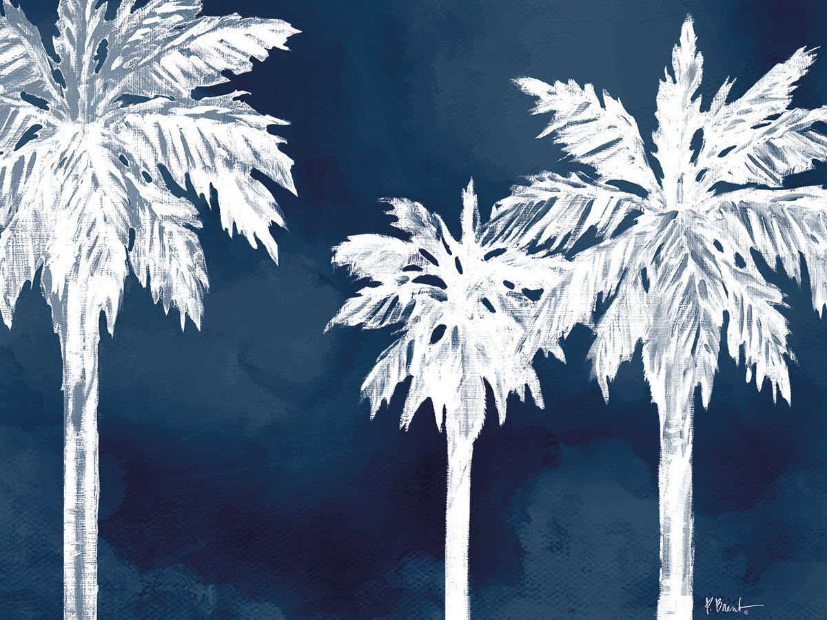 Cyano Palms Horizontal
