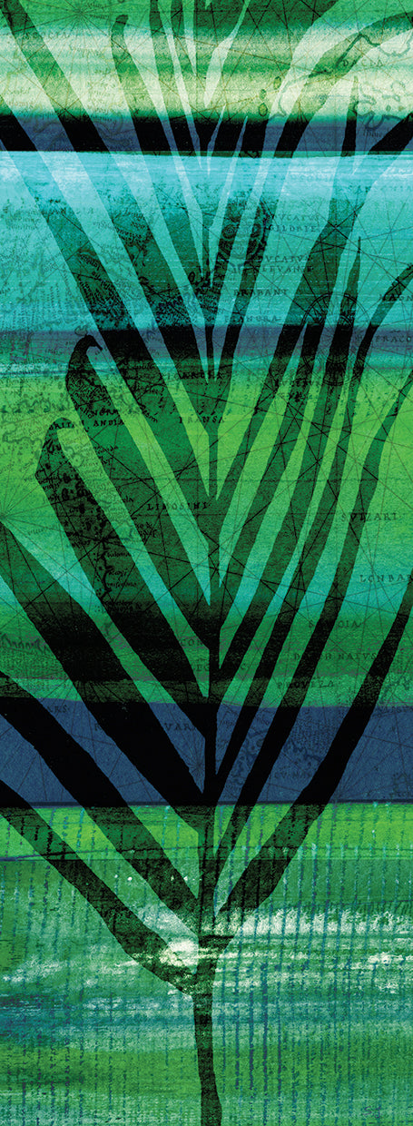 Seychelles Palm I