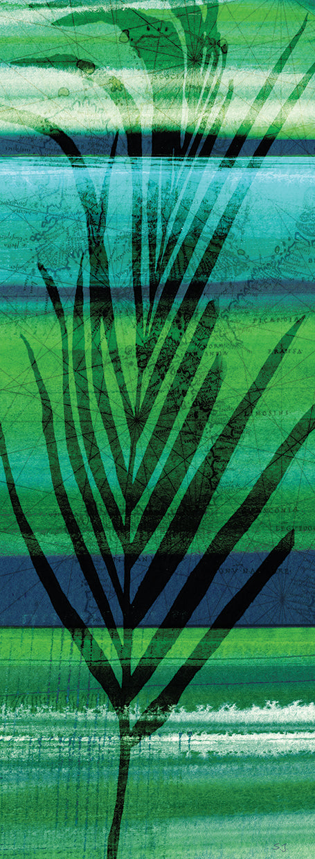 Seychelles Palm II