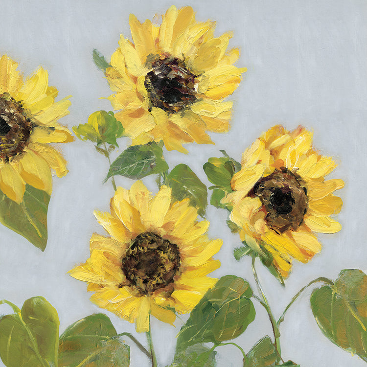 Sunflower Array I