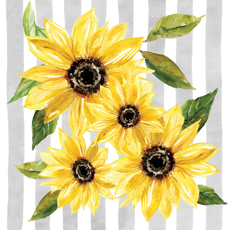 Matriz de girasol II Lienzo