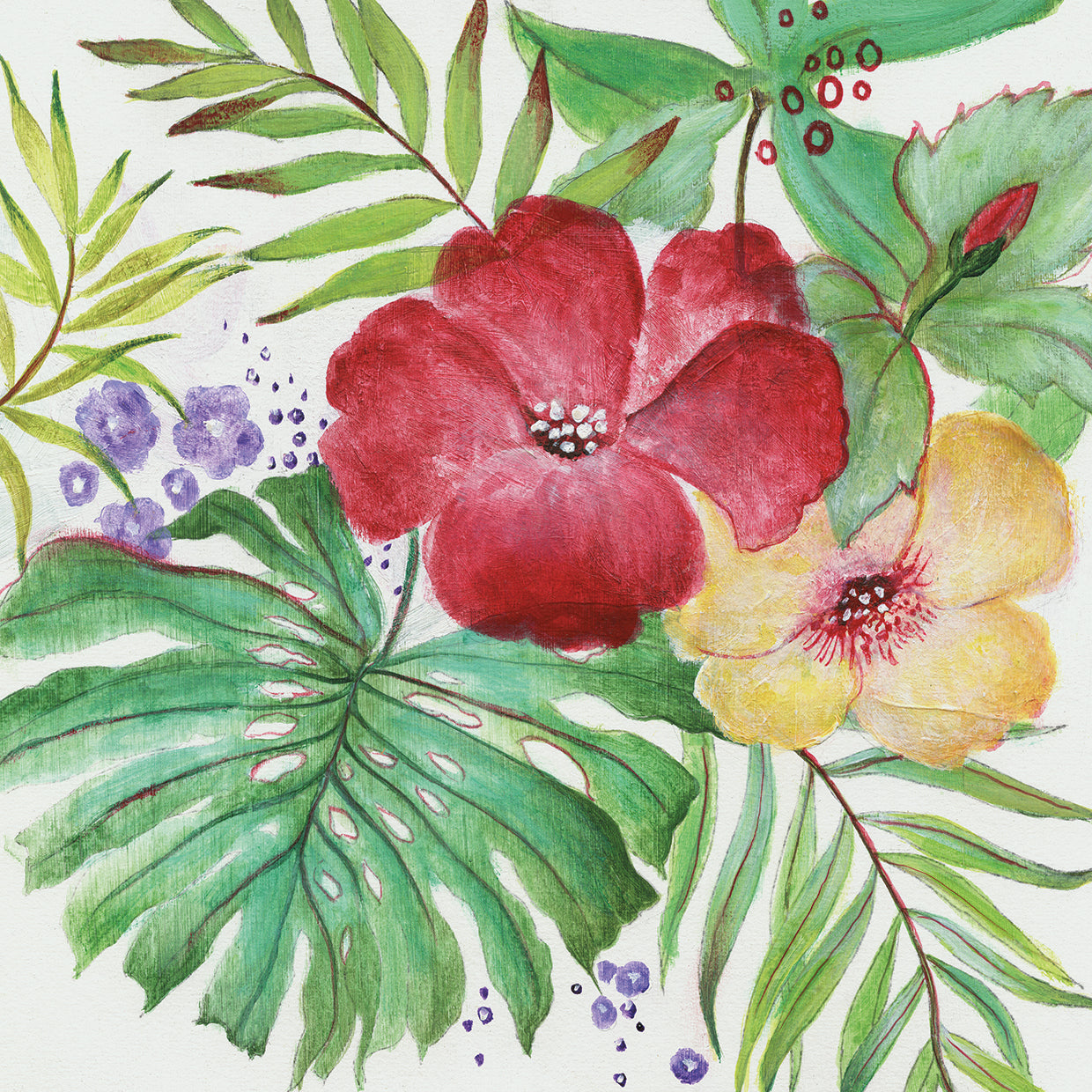 Tropical Blooms