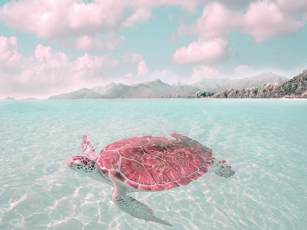Sun Bathing